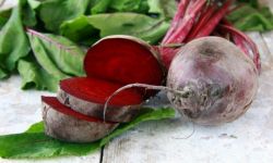 Buraki czerwone na jesienne chłody