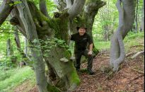 Edwarda Marszałka ballady o drzewach