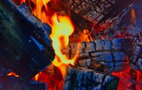 Czym palić w kominku. Kaloryczność drewna, ceny i zalety różnych gatunków  