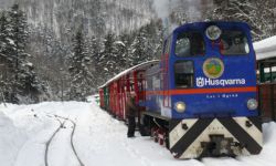 Bieszczadzka Kolejka Leśna ruszyła w zimową trasę po Bieszczadach