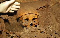 Tajemnicza krypta i groby odnalezione w kościele bernardynów w Rzeszowie