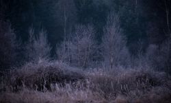 Urodził się w środku Puszczy Sandomierskiej. Opowiada ją w fotografiach