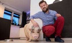 Mężczyzna od kuchni. Krystian Tomasik - rzeszowski alchemik i Tytus