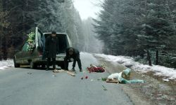 "Wielkie zimno" -  Bieszczady na ekranach podkarpackich kin już od piątku