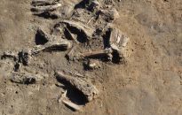 Prawie 1,5 miliona złotych dla archeologów UR na badania w Chotyńcu