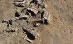 Prawie 1,5 miliona złotych dla archeologów UR na badania w Chotyńcu