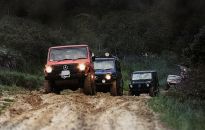 Przygoda w krainie wilka - śladami ,,Watahy