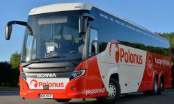 10 tys. biletów o połowę taniej. Neobus i AlbatrosBus w koalicji polskich przewoźników