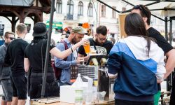 Piwa rzemieślnicze z podkarpackich browarów na festiwalu piwa w Rzeszowie