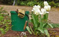 Pełnia sezonu - pracowity czerwiec w ogrodzie