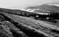Karpaty  i warsztaty fotografii Jacka Wnuka. Europejskiego Stadionu Kultury