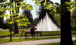 Będzie więcej zieleni w mieście i odnowiony park przy ul. Rycerskiej