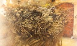 Beksiński w Wiedniu