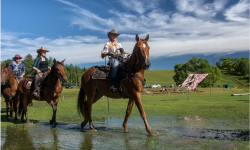 Parada stu koni na 100-lecie odzyskania niepodległości w Lutowiskach