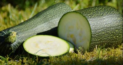 Pełnia sezonu na pożywną cukinię