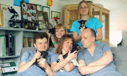 Koncert dla Psiej Wioski. Zbierają na budowę pierwszego domku