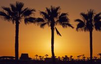 Loty z Modlina na wyspy Kanaryjskie 