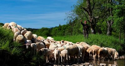 Spotkanie na pasterskim szlaku w Chacie nad Wisłokiem i w Bacówce u Franosa