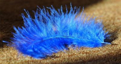 Wykładziny podłogowe - indywidualny styl dzięki wyjątkowym kolekcjom