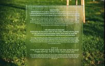 W Markowej powstał Sad Pamięci dedykowany Polakom ratującym Żydów