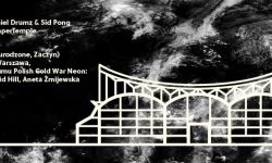 Smolik i L.U.C. na Festiwalu Przestrzeni Miejskiej