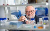 Uniwersytet tworzy centrum badań klinicznych i buduje zwierzętarnię