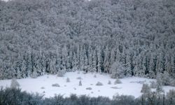 Zaśnieżone Bieszczady w obiektywie Mirosława Pieli