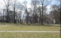 W maju rusza rewitalizacja parku przy ul. Dąbrowskiego