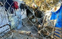 Lekarze z Podkarpacia pomagali uchodźcom na greckiej wyspie Chios