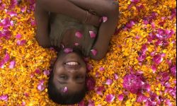 Rozpoczął się 5. Festiwal Kinolub. Seanse filmowe gratis!