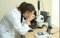 200 tysięcy zł na badania i wynalazki dla rzeszowskich uczelni