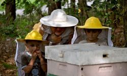 Lasowiackie niedziele w skansenie z pszczelarzami i rzeźbiarzami