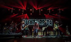 Lao Che i Luxtorpeda na Cieszanów Rock Festiwal