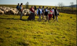 Jesienny redyk pasterski w Chacie nad Wisłokiem i Bacówce u Franosa