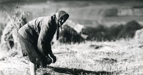 Portreciści ludzkiego losu - fotografie Janusza Witowicza i synów na wystawie