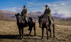 Evento i Pasat - nowe konie w bieszczadzkiej Straży Granicznej