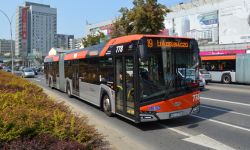 Zmiany w rozkładzie jazdy autobusów MPK - od Wigilii do Trzech Króli