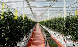 Produkcja zielonej energii w spalarnich odpadów