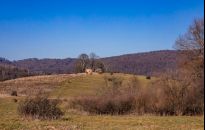 Jak Polska Ludowa ukarała tych, którzy pisali cyrylicą i klęczeli przed ikonami