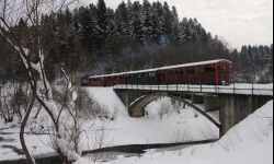 Bieszczadzka Kolejka Leśna zaczyna zimową jazdę z kozą w wagonie