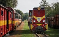 Jest chętny na projekt remontu wąskotorówki Przeworsk-Dynów