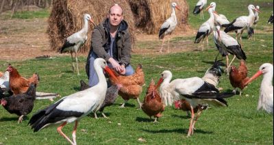 Zwierzęta czują już wiosnę! Ptaki szykują się na okres godowy