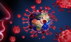 Koronawirus. Na Podkarpaciu 132 osoby pod nadzorem sanepidu