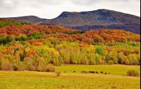 GOPR apeluje: nie wychodźmy w Bieszczady