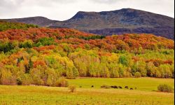 GOPR apeluje: nie wychodźmy w Bieszczady