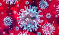 Już 14 osób zakażonych koronawirusem. 2 nowe zachorowania w mieleckim 