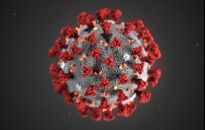 Koronawirus. 17 osób zakażonych na Podkarpaciu, 367 w Polsce