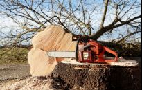 Karczowanie drzew i krzewów - jak się pozbyć korzeni?