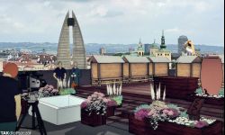 Będą pasieki w centrum miasta. Pierwsza na dachu Galerii Rzeszów