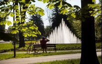 Dziś w nocy odkomarzanie i odkleszczanie Rzeszowa!